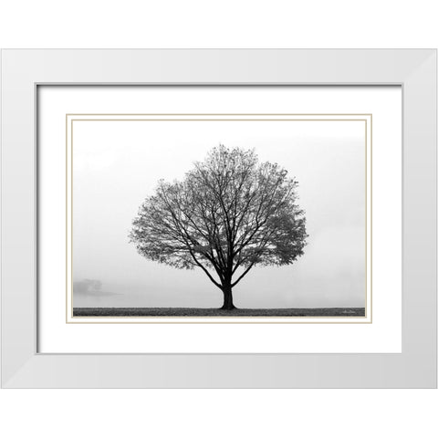 Flying Solo White Modern Wood Framed Art Print with Double Matting by Deiter, Lori