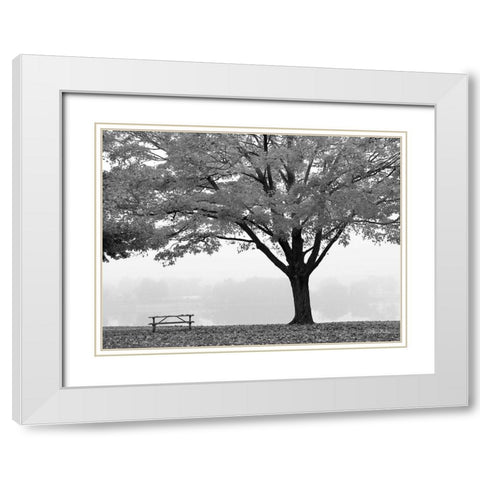 The Empty Table White Modern Wood Framed Art Print with Double Matting by Deiter, Lori