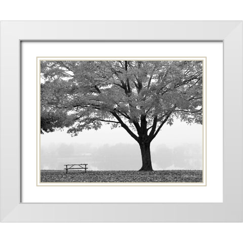 The Empty Table White Modern Wood Framed Art Print with Double Matting by Deiter, Lori