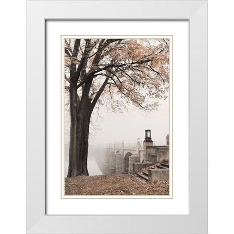 Market Street in Autumn White Modern Wood Framed Art Print with Double Matting by Deiter, Lori