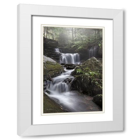 Ricketts Waterfall White Modern Wood Framed Art Print with Double Matting by Deiter, Lori