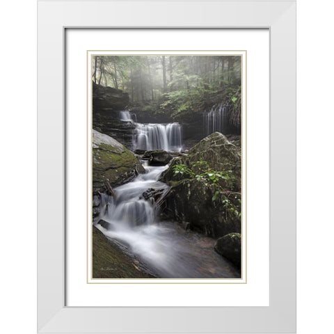 Ricketts Waterfall White Modern Wood Framed Art Print with Double Matting by Deiter, Lori