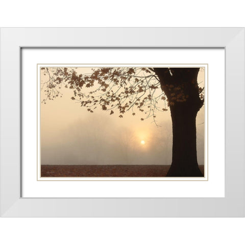 Foggy Morning Sunrise White Modern Wood Framed Art Print with Double Matting by Deiter, Lori