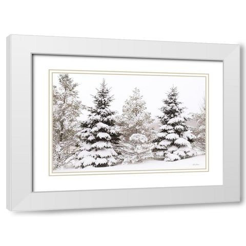 Snowy Pine Trees      White Modern Wood Framed Art Print with Double Matting by Deiter, Lori