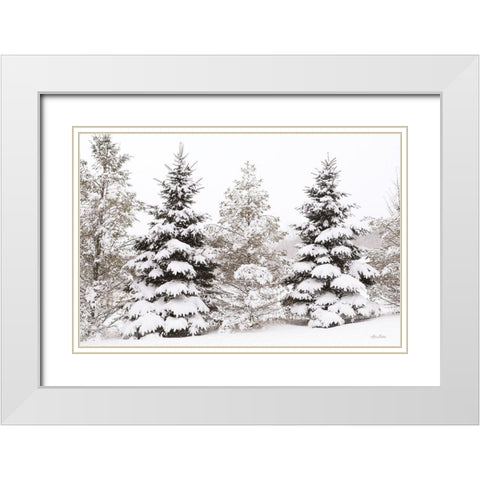 Snowy Pine Trees      White Modern Wood Framed Art Print with Double Matting by Deiter, Lori
