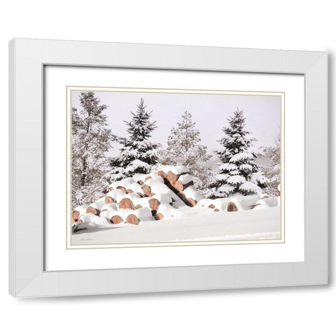Snowy Logs     White Modern Wood Framed Art Print with Double Matting by Deiter, Lori