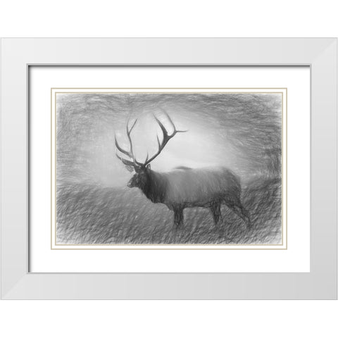 Bull Elk Sketch   White Modern Wood Framed Art Print with Double Matting by Deiter, Lori