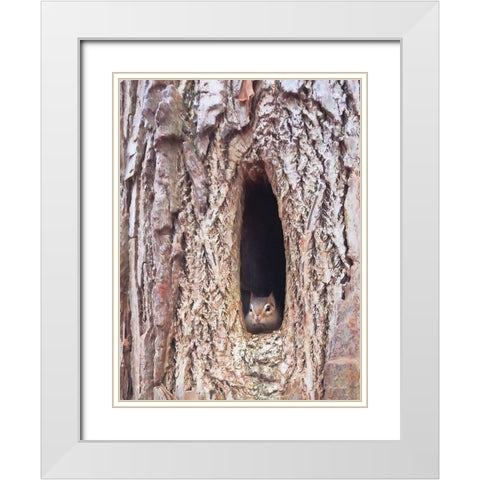 Is It Spring Yet?   White Modern Wood Framed Art Print with Double Matting by Deiter, Lori
