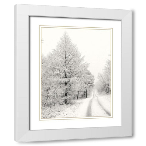 Berry Mountain Road    White Modern Wood Framed Art Print with Double Matting by Deiter, Lori