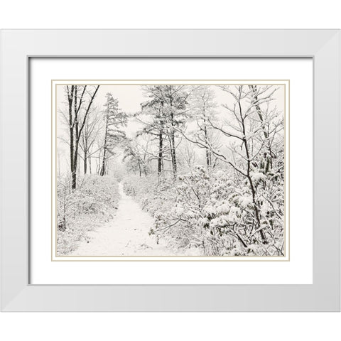 Winter Walk    White Modern Wood Framed Art Print with Double Matting by Deiter, Lori