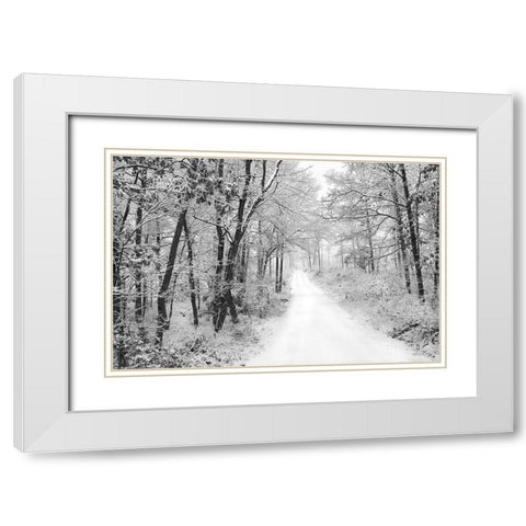 Snowy Lane   White Modern Wood Framed Art Print with Double Matting by Deiter, Lori