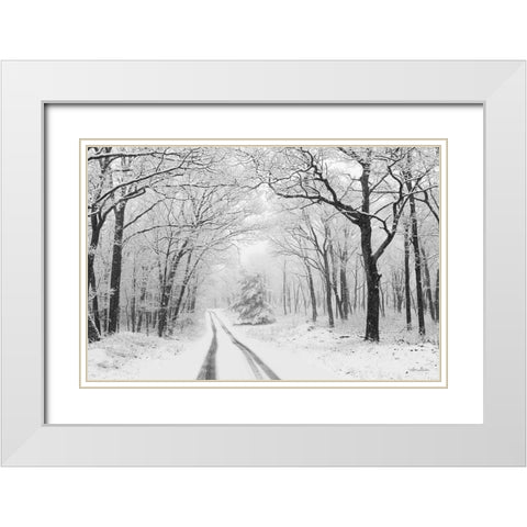 Wintry Road    White Modern Wood Framed Art Print with Double Matting by Deiter, Lori