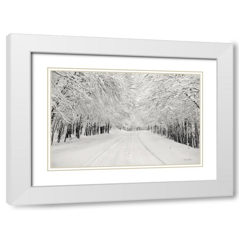 Snowbound White Modern Wood Framed Art Print with Double Matting by Deiter, Lori