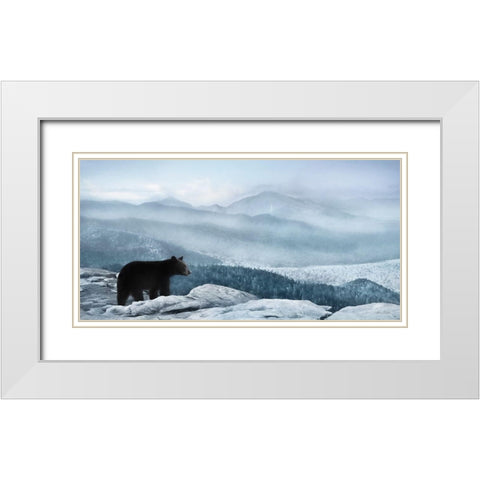 Cascade Mountain Bear White Modern Wood Framed Art Print with Double Matting by Deiter, Lori