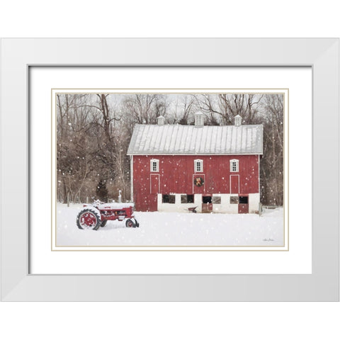 Lickdale Farm in Winter White Modern Wood Framed Art Print with Double Matting by Deiter, Lori