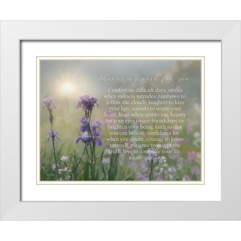 My Wish for You - Floral White Modern Wood Framed Art Print with Double Matting by Deiter, Lori