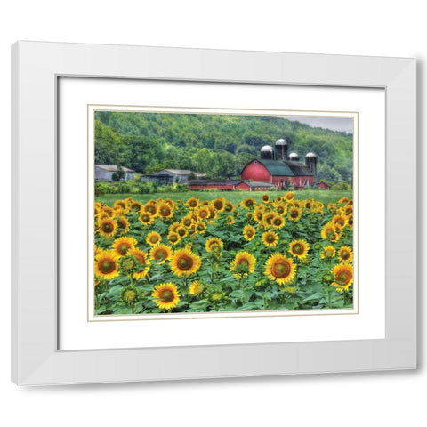 Sunflower Farm White Modern Wood Framed Art Print with Double Matting by Deiter, Lori