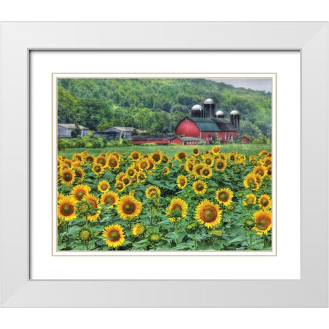 Sunflower Farm White Modern Wood Framed Art Print with Double Matting by Deiter, Lori