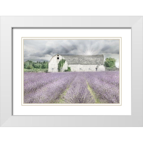 Shades of Lavender and Gray White Modern Wood Framed Art Print with Double Matting by Deiter, Lori
