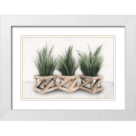 Planter Trio White Modern Wood Framed Art Print with Double Matting by Deiter, Lori