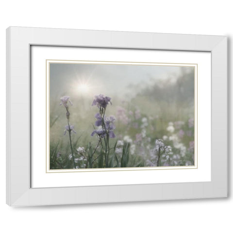 Spring Bling White Modern Wood Framed Art Print with Double Matting by Deiter, Lori