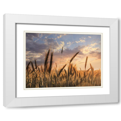 Summer Field White Modern Wood Framed Art Print with Double Matting by Deiter, Lori