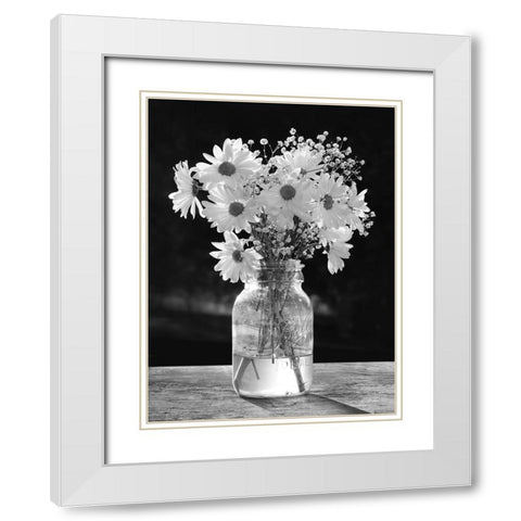 Morning Daisies II White Modern Wood Framed Art Print with Double Matting by Deiter, Lori