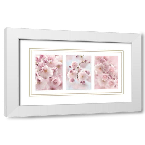 Weeping Cherry Trio White Modern Wood Framed Art Print with Double Matting by Deiter, Lori
