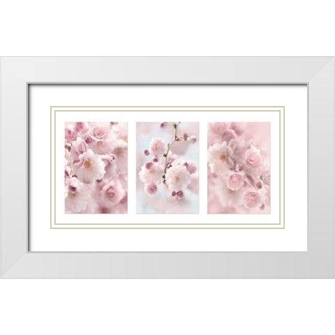 Weeping Cherry Trio White Modern Wood Framed Art Print with Double Matting by Deiter, Lori