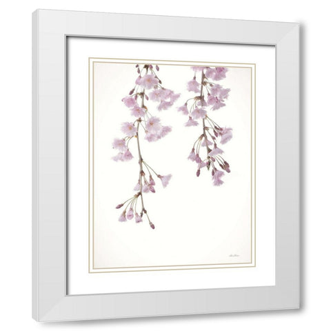Weeping Cherry on White II White Modern Wood Framed Art Print with Double Matting by Deiter, Lori