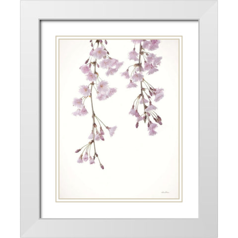 Weeping Cherry on White II White Modern Wood Framed Art Print with Double Matting by Deiter, Lori