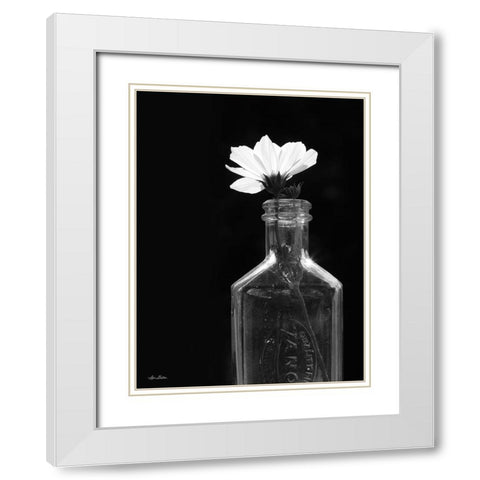 Illuminated Cosmos White Modern Wood Framed Art Print with Double Matting by Deiter, Lori