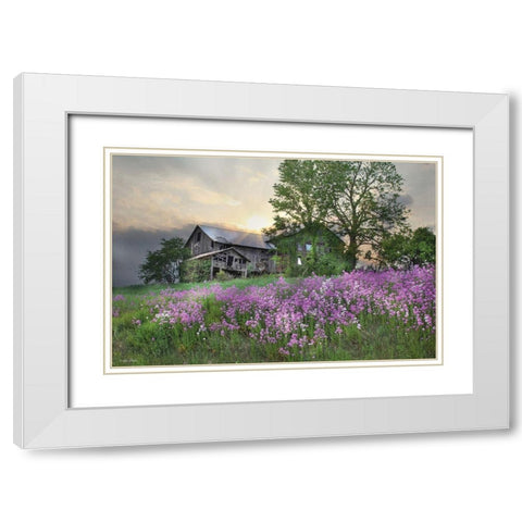 Country Living White Modern Wood Framed Art Print with Double Matting by Deiter, Lori