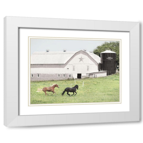 Afternoon Run on the Farm White Modern Wood Framed Art Print with Double Matting by Deiter, Lori