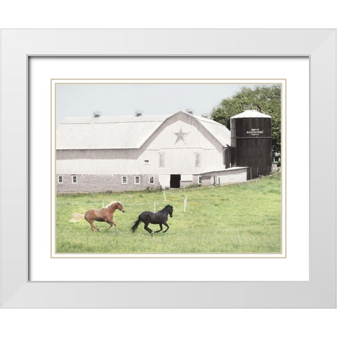 Afternoon Run on the Farm White Modern Wood Framed Art Print with Double Matting by Deiter, Lori