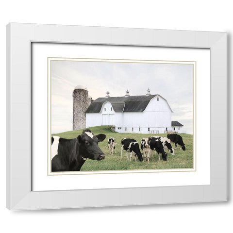 Cow Gathering White Modern Wood Framed Art Print with Double Matting by Deiter, Lori