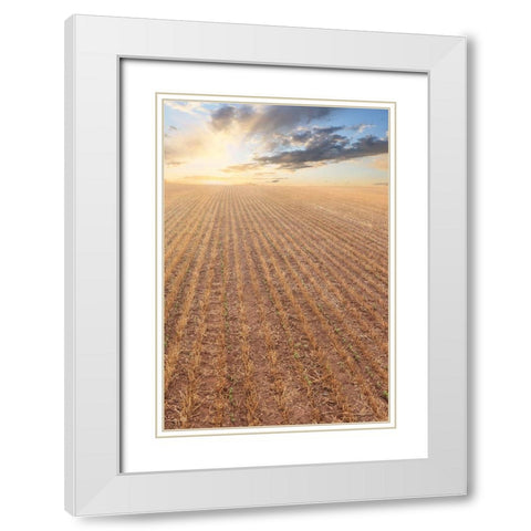 Its a New Day White Modern Wood Framed Art Print with Double Matting by Deiter, Lori