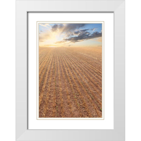 Its a New Day White Modern Wood Framed Art Print with Double Matting by Deiter, Lori