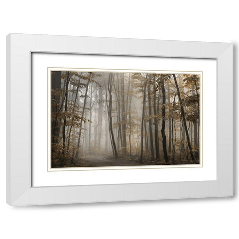 Foggy Forest in Fall White Modern Wood Framed Art Print with Double Matting by Deiter, Lori