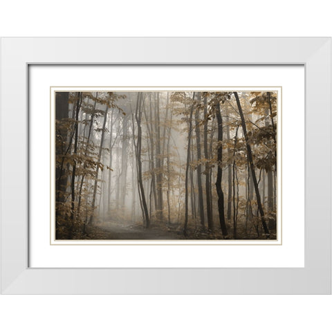 Foggy Forest in Fall White Modern Wood Framed Art Print with Double Matting by Deiter, Lori