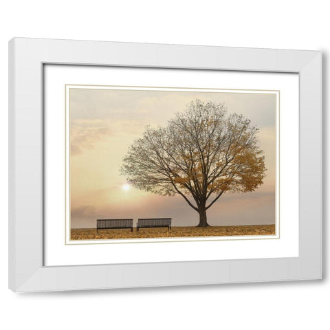 Golden Riverfront Sunrise White Modern Wood Framed Art Print with Double Matting by Deiter, Lori