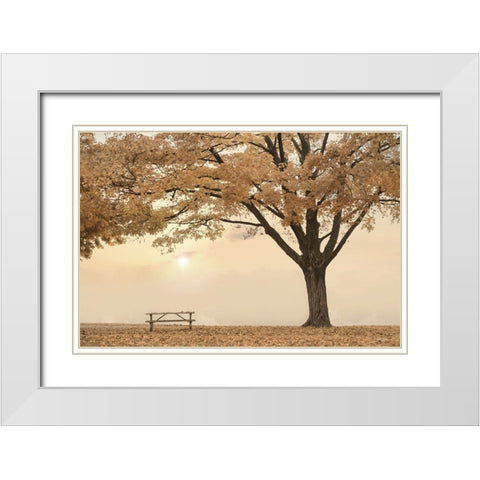 Perfect Picnic Spot White Modern Wood Framed Art Print with Double Matting by Deiter, Lori