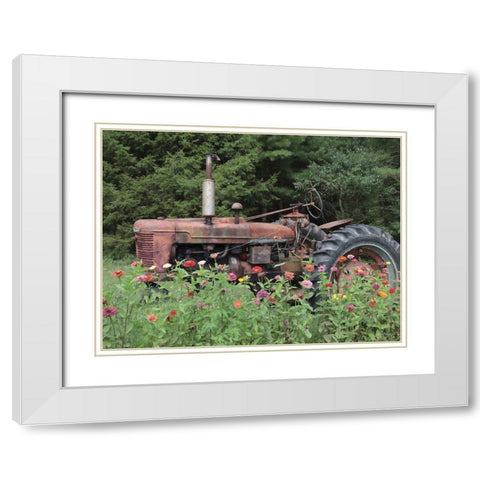 Hidden Gem White Modern Wood Framed Art Print with Double Matting by Deiter, Lori