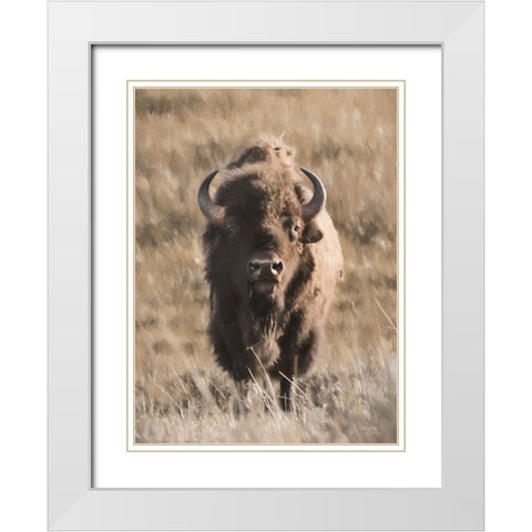 Yellowstone Bison White Modern Wood Framed Art Print with Double Matting by Deiter, Lori