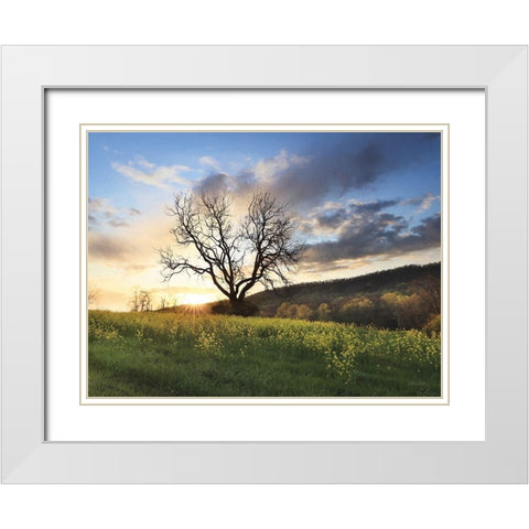 Clark Valley Sunset White Modern Wood Framed Art Print with Double Matting by Deiter, Lori