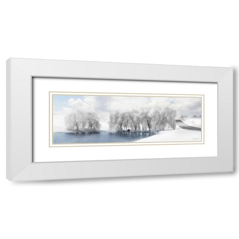 Winter Willow White Modern Wood Framed Art Print with Double Matting by Deiter, Lori