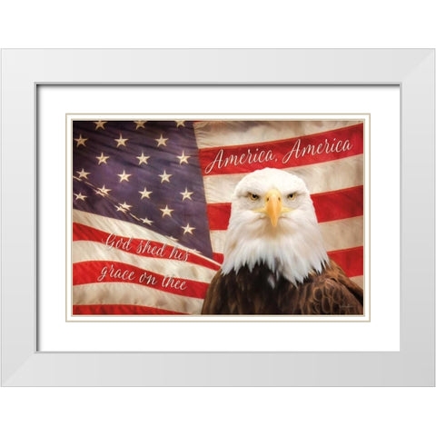 American Eagle Flag White Modern Wood Framed Art Print with Double Matting by Deiter, Lori