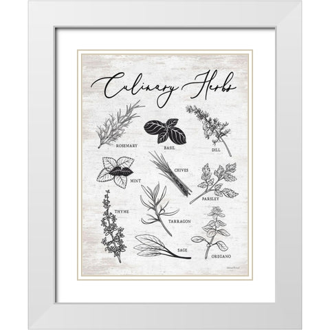 Culinary Herbs White Modern Wood Framed Art Print with Double Matting by lettered And lined