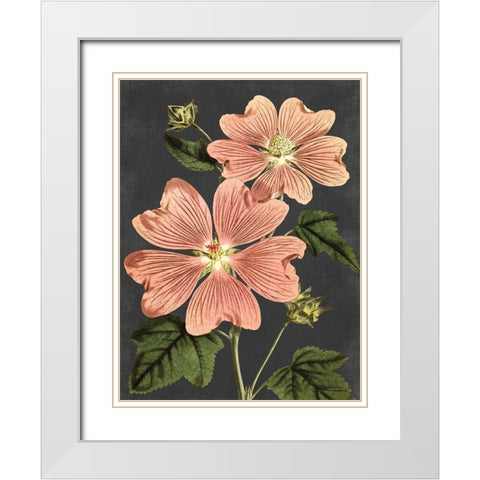 Pink Anemone White Modern Wood Framed Art Print with Double Matting by Lettered And Lined