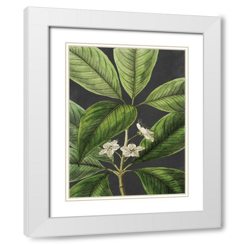 Grand Leaves White Modern Wood Framed Art Print with Double Matting by Lettered and Lined